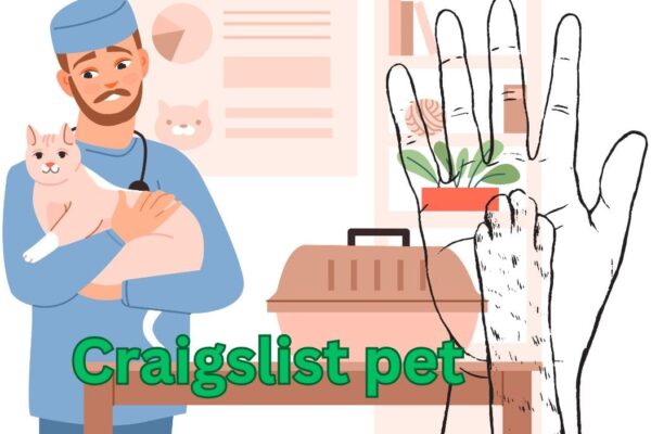 Craigslist Pet Adoptions: What You Need to Know