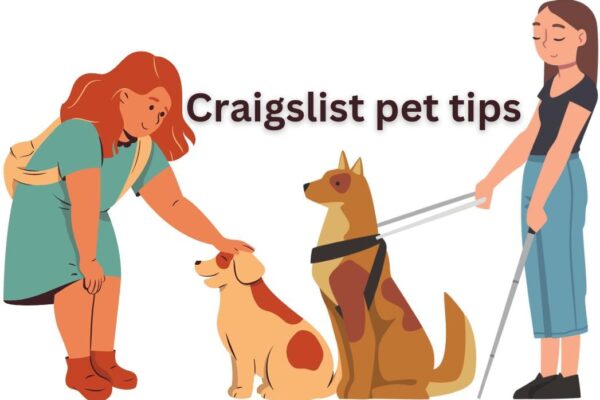 Craigslist Pets: Tips for Safe and Ethical Adoption