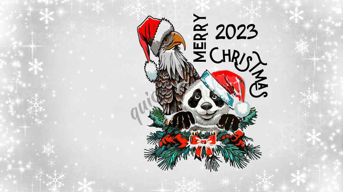 Joy merry Christmas cute Panda and Eagle design 2023 Print ready for all jobs